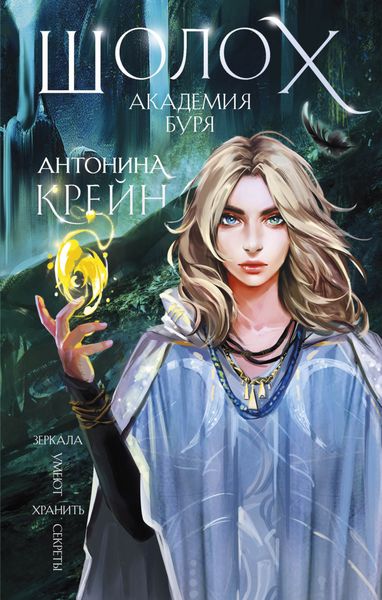 Обложка книги  «Шолох. Академия Буря»