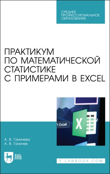 Обложка книги  «Практикум по математической статистике с примерами в Excel»