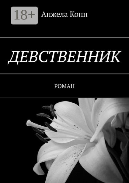 Обложка книги  «Девственник. Роман»