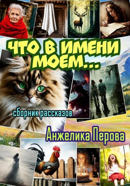 Обложка книги «Что в имени моем…»