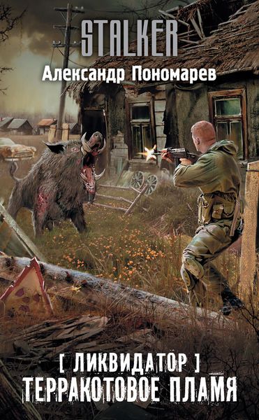 Обложка книги  «Ликвидатор. Терракотовое пламя»