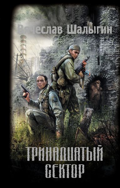 Обложка книги  «Тринадцатый сектор»