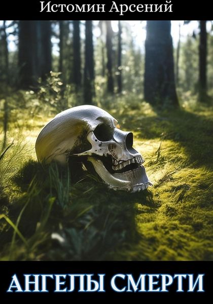 Обложка книги «Ангелы смерти»