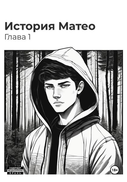 Обложка книги «История Матео. Глава 1»