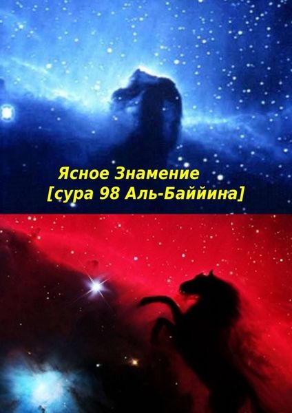 Обложка книги  «Ясное Знамение [сура 98 Аль-Баййина]. Идите и терпите за своих Богов. Истина – это то, что от нас желают?»