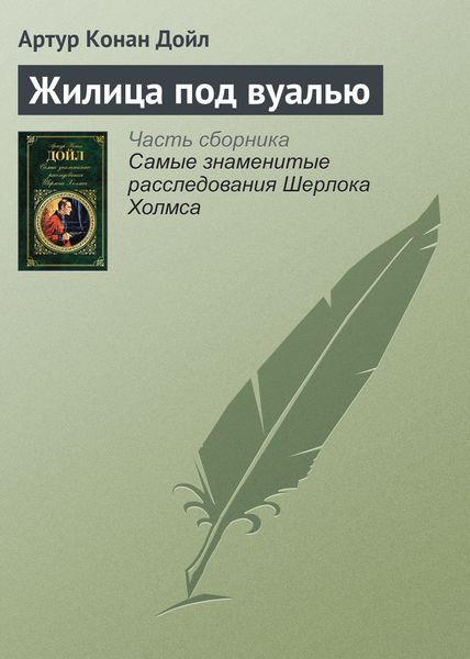 Обложка книги  «Жилица под вуалью»