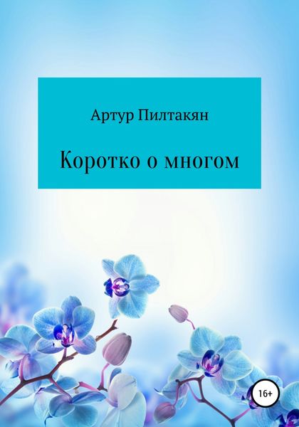 Обложка книги  «Коротко о многом»