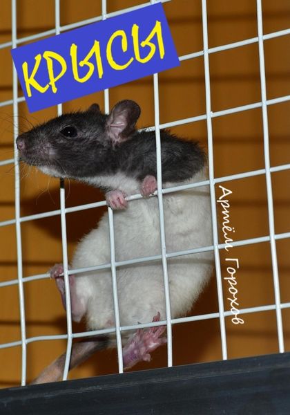 Обложка книги  «Крысы»