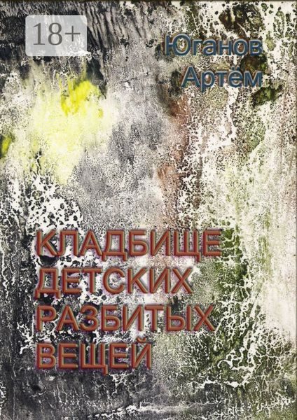 Обложка книги  «Кладбище детских разбитых вещей»