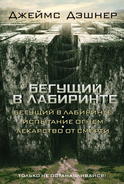 Обложка книги  «Бегущий в Лабиринте»