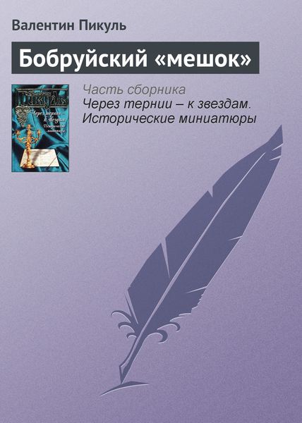 Обложка книги  «Бобруйский «мешок»»