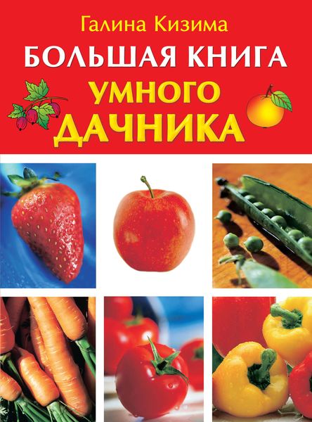 Обложка книги  «Большая книга умного дачника»