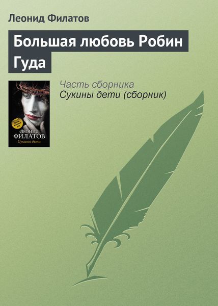 Обложка книги  «Большая любовь Робин Гуда»