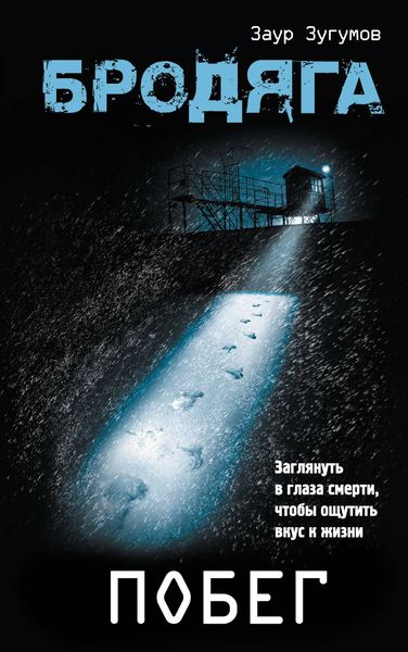 Обложка книги  «Бродяга. Побег»