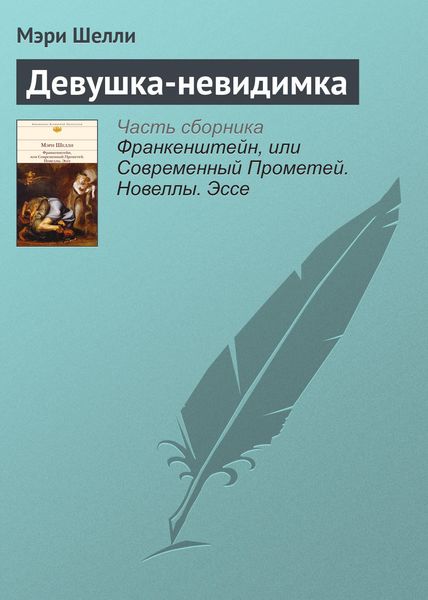 Обложка книги  «Девушка-невидимка»