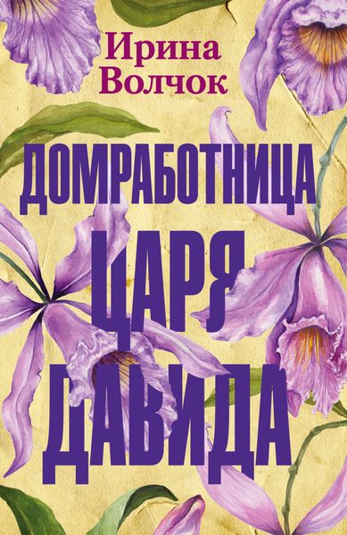 Обложка книги  «Домработница царя Давида»
