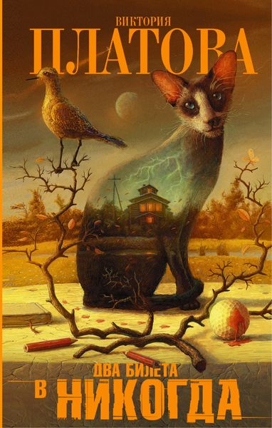 Обложка книги  «Два билета в никогда»