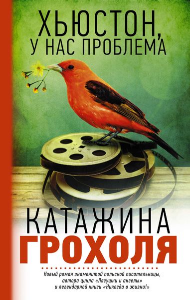 Обложка книги  «Хьюстон, у нас проблема»