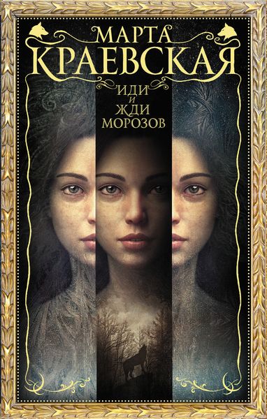 Обложка книги  «Иди и жди морозов»