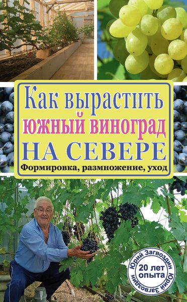 Обложка книги  «Как вырастить южный виноград на севере»
