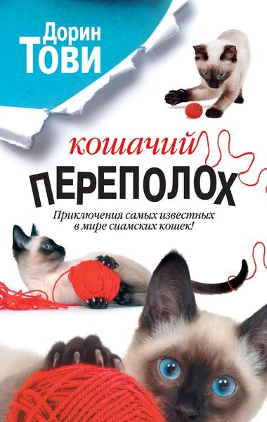 Обложка книги  «Кошачий переполох»