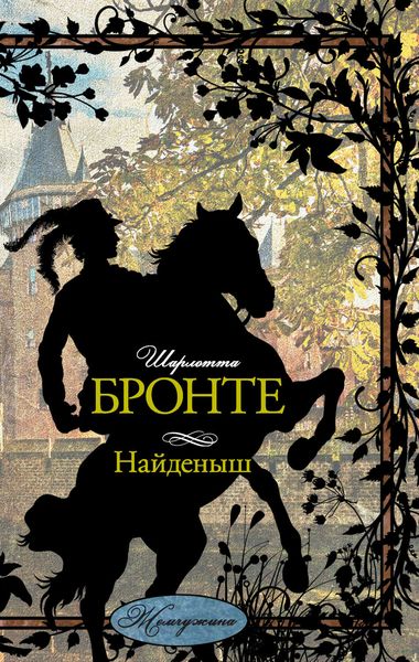 Обложка книги  «Найденыш»