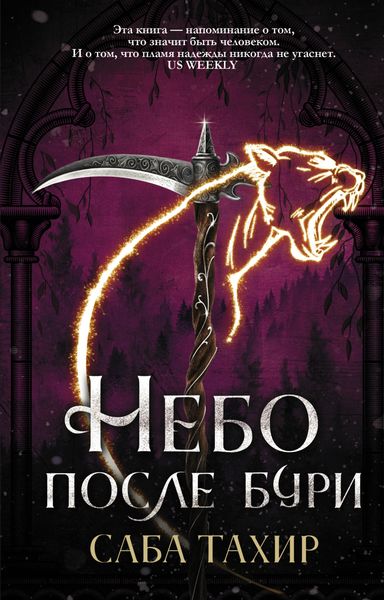 Обложка книги  «Небо после бури»