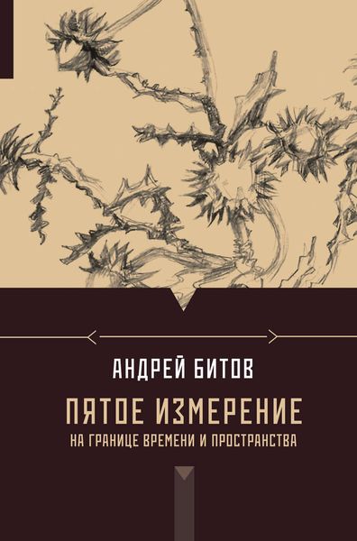 Обложка книги  «Пятое измерение. На границе времени и пространства»