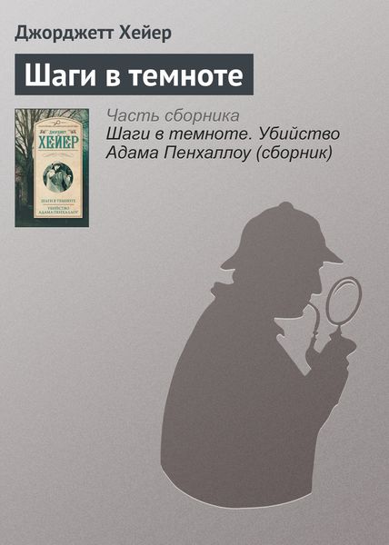 Обложка книги  «Шаги в темноте»