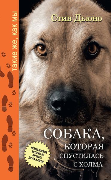 Обложка книги  «Собака, которая спустилась с холма. Незабываемая история Лу, лучшего друга и героя»