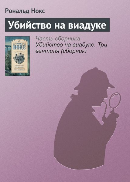 Обложка книги  «Убийство на виадуке»