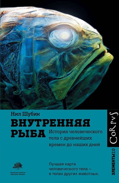 Обложка книги  «Внутренняя рыба. История человеческого тела с древнейших времен до наших дней»