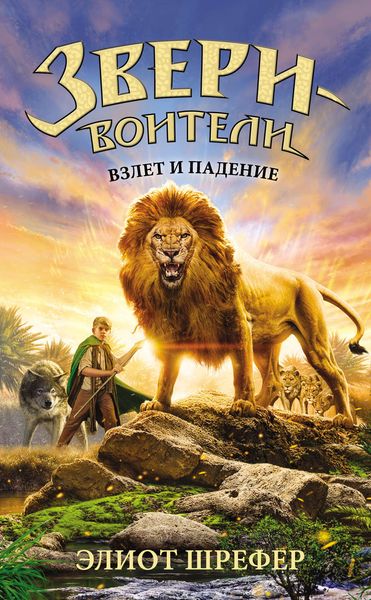 Обложка книги  «Взлет и падение»