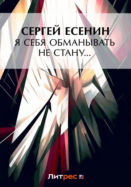 Обложка книги  «Я обманывать себя не стану…»