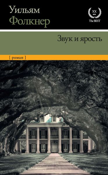 Обложка книги  «Звук и ярость»