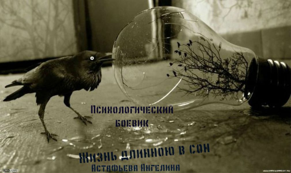 Обложка книги «Жизнь длинною в сон. Социопат»