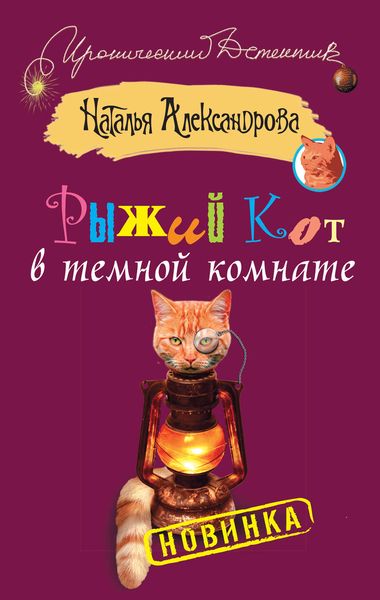 Обложка книги  «Рыжий кот в темной комнате»