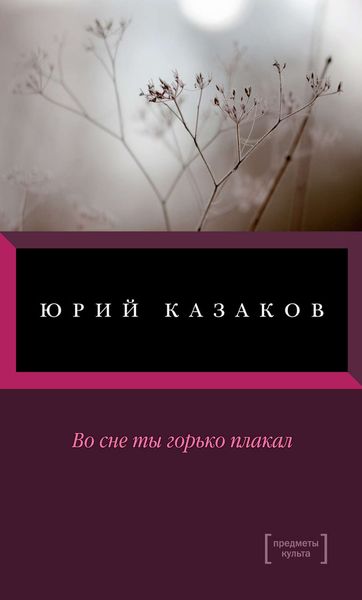 Обложка книги  «Во сне ты горько плакал»