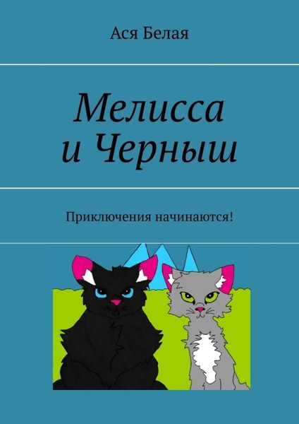 Обложка книги «Мелисса и Черныш. Приключения начинаются!»