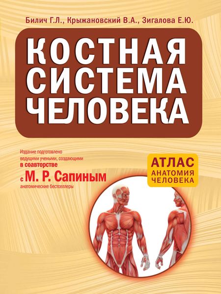 Обложка книги  «Костная система человека»
