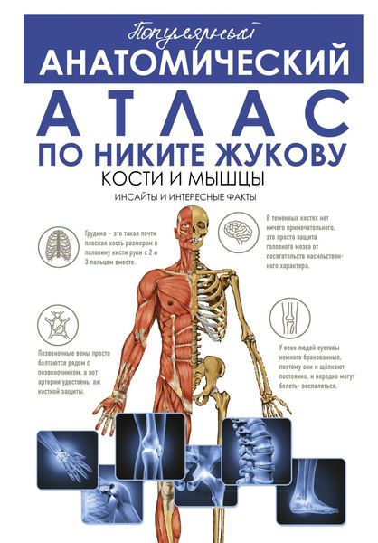 Обложка книги  «Популярный анатомический атлас по Никите Жукову. Кости и мышцы. Инсайды и интересные факты»