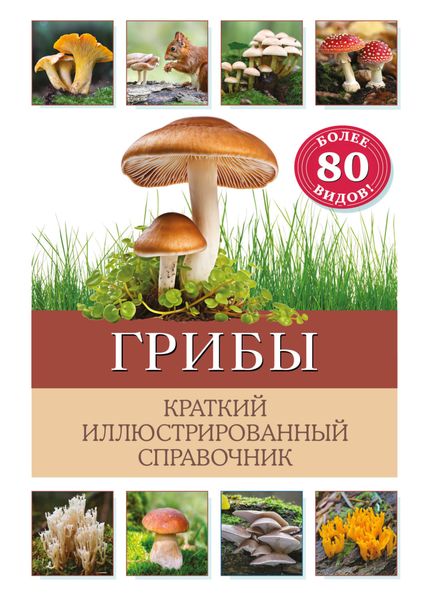 Обложка книги  «Грибы. Краткий иллюстрированный справочник»