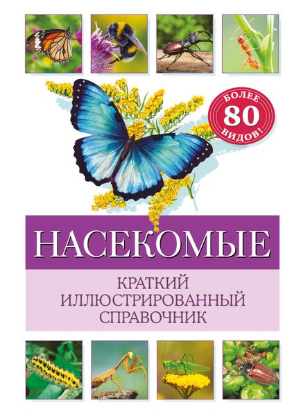 Обложка книги  «Насекомые. Краткий иллюстрированный справочник»