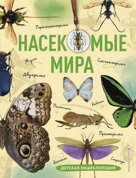 Обложка книги  «Насекомые мира. Детская энциклопедия»