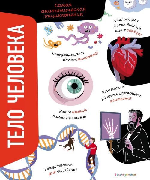 Обложка книги  «Тело человека. Самая анатомическая энциклопедия»
