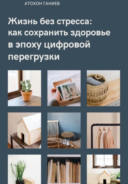 Обложка книги «Жизнь без стресса: как сохранить здоровье в эпоху цифровой перегрузки»