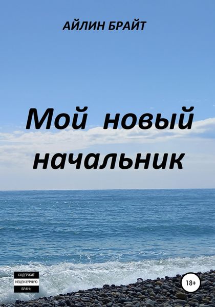 Обложка книги  «Мой новый начальник»