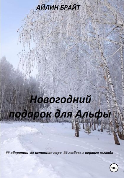 Обложка книги  «Новогодний подарок для Альфы»