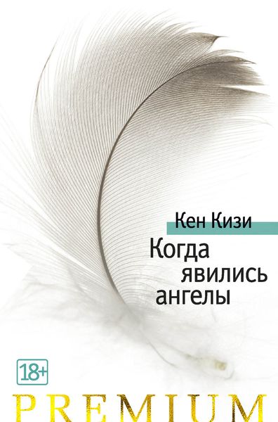 Обложка книги  «Когда явились ангелы»