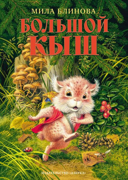 Обложка книги  «Большой Кыш»